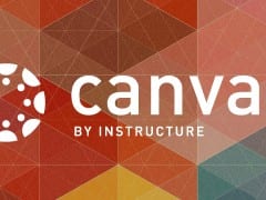 Looking for more advanced Canvas training?