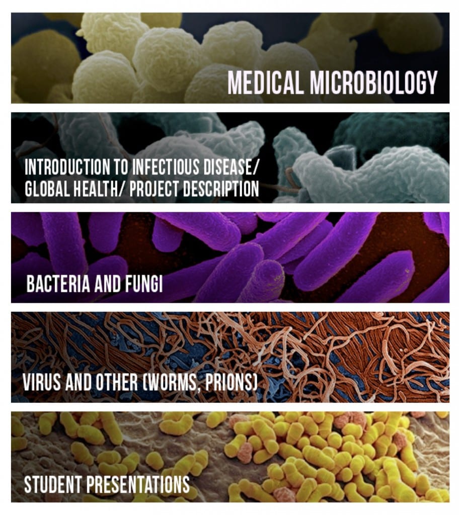 Microbiology Banners