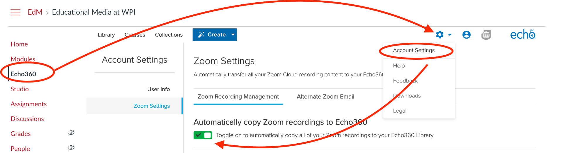 An arrow pointing from the Echo360 button to the account settings chooser and from there to a toggle switch for Zoom options.