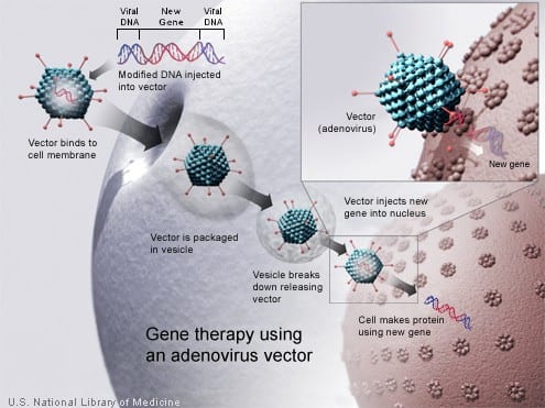 gene-therapy-graphic