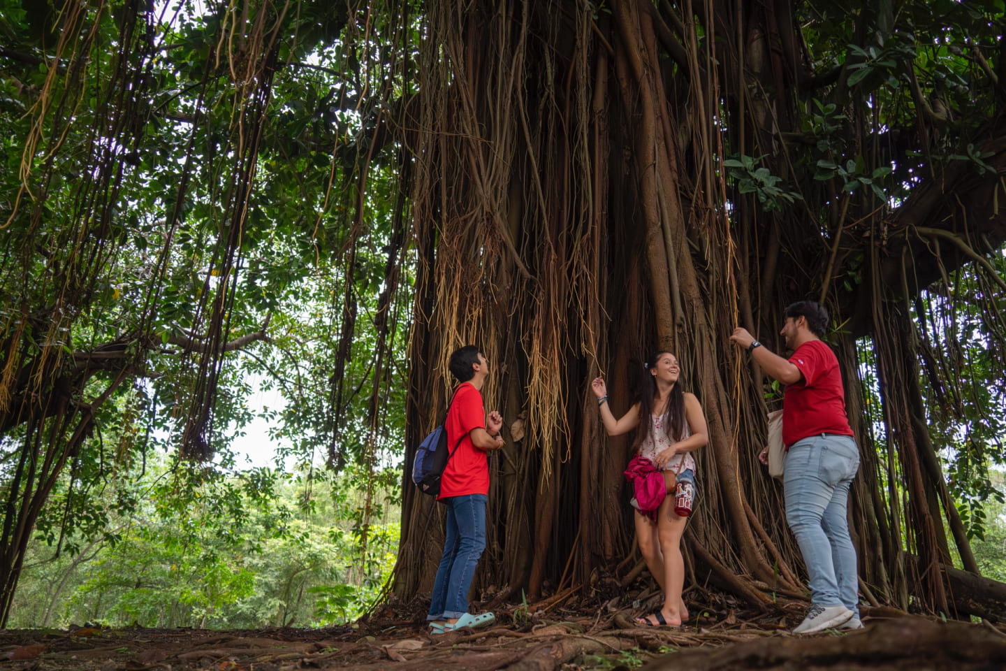 three students in front of tree in Panama