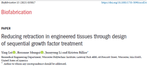 Image of title of Biofabricaton journal article