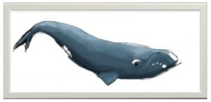 RightWhale
