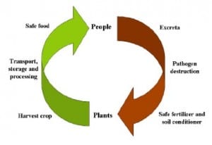 Cycle of Nutrients and Pathogens in Compost