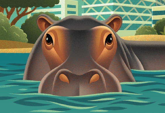 Detail from the Ghana illustration depicting a hippopotamus