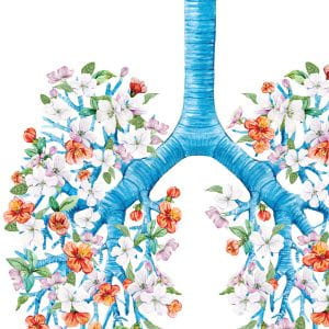 Fanciful illustration of the lungs as upside-down flowering tree branches