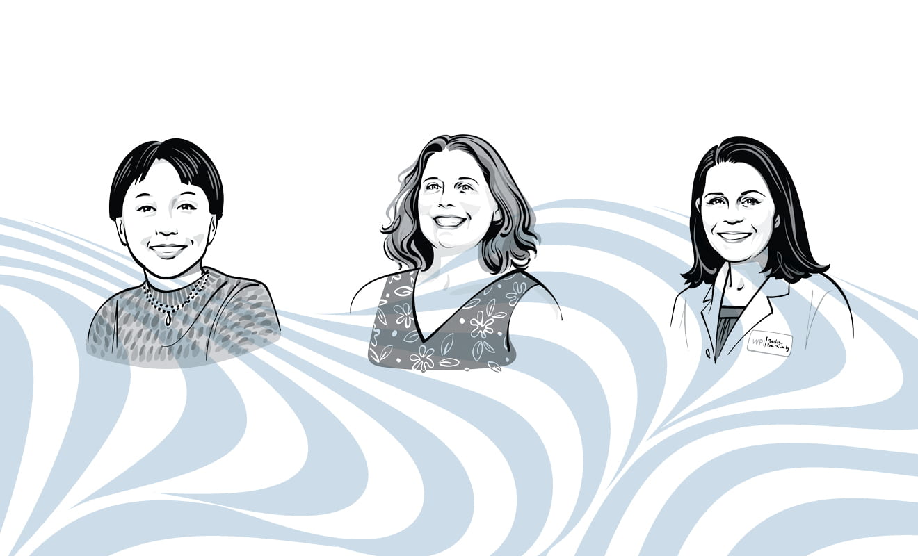 Illustrations of three faculty members who won NSF Career Grants
