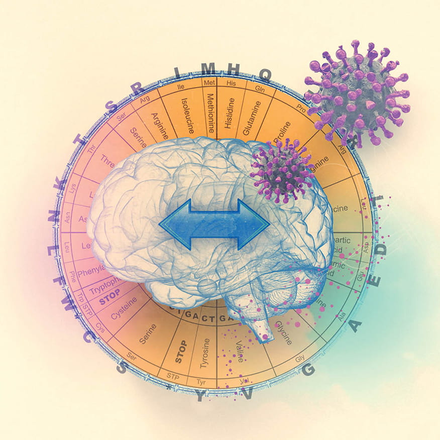 An illustration representing the brain and the COVID-19 spike protein