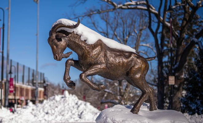 Snowy goat statue
