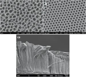 Featured works: Comparison of commercial (a) and homemade (b) nanoporous AAO templates. The commercial templates have an unordered array of pores with diameters ranging from 150 to 300 nm while the homemade templates have a uniform and ordered distribution of pores 40–50 nm in size. A photograph of the filled template is shown in (c)
