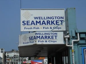 wellington-trawling-sea