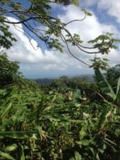 The view from El Yunque National Forest